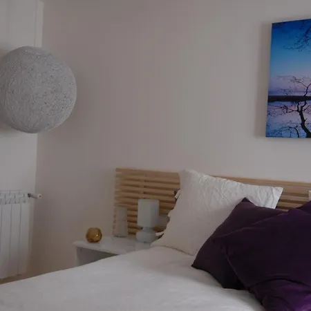 Purple * 圣地亚哥－德孔波斯特拉